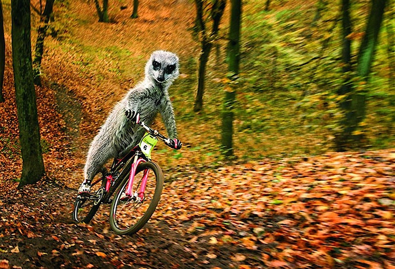 őszi bringázás